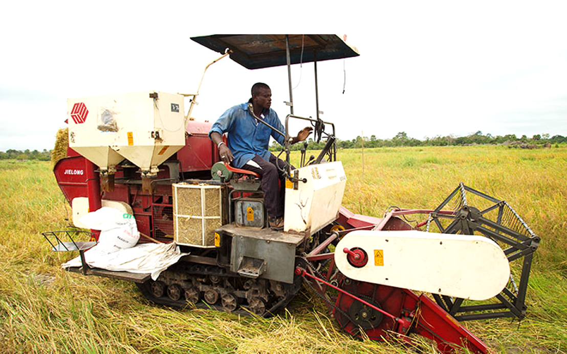 Ivory Coast Agropole Project: Boosting Agriculture & Economy